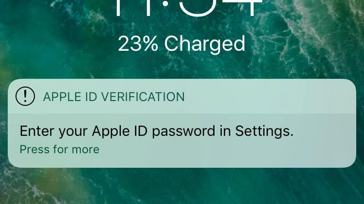 Apple Store Phishing